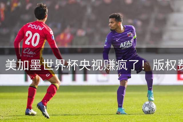 美加墨世界杯央视赚疯了！版权费仅6000万美元，收入或破80亿大关